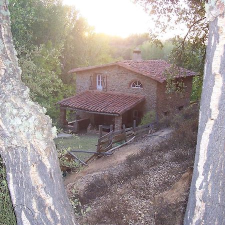 갈라로자 Casas El Alamillo- El Castanero 게스트하우스 외부 사진